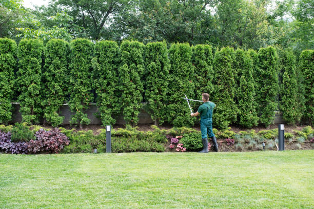 Best Lawn Pest Prevention  in Wyoming, IL